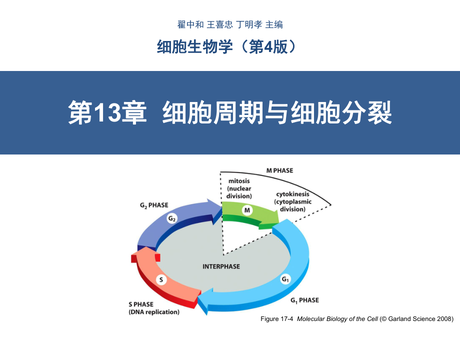 细胞周期与细胞分裂翟中和第四版_第1页