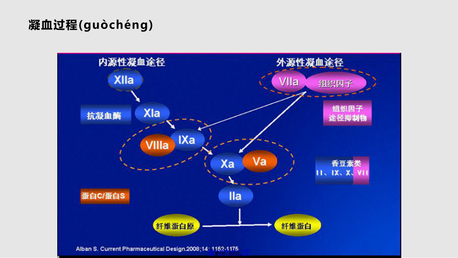 抗凝药及抗血小板实用教案_第1页