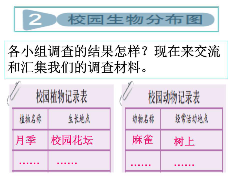 《校園生物分布圖》PPT.ppt_第1頁