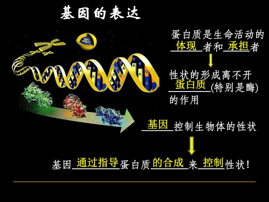 绝世好件基因指导蛋白质的合成基因的表达复习课件_第1页