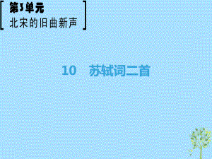 語(yǔ)文 第3單元 北宋的舊曲新聲 10 蘇軾詞二首 魯人版選修《唐詩(shī)宋詞選讀》