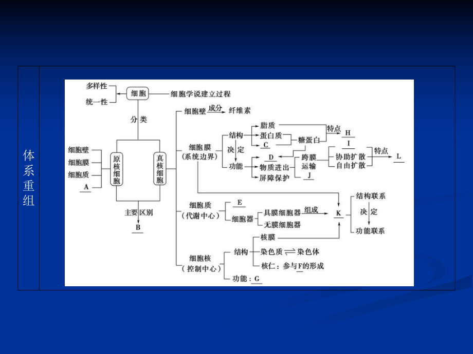 生物二轮复习专题细胞的分子组成与结构讲细胞的基本结构及物质进出细胞的方式_第1页