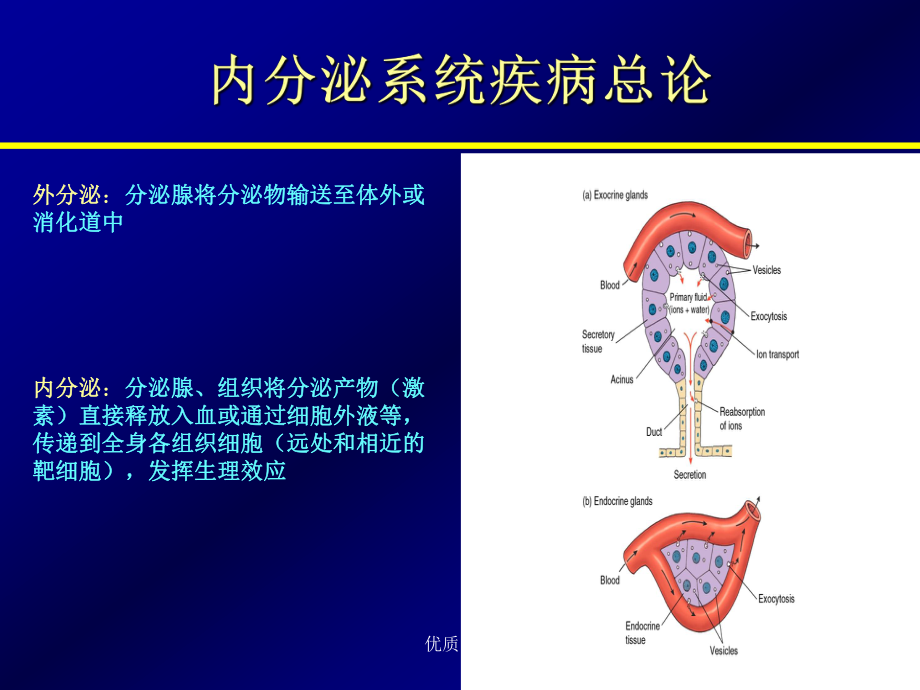 總論腺垂體功能減退單純性甲狀腺腫大醫(yī)者仁心_第1頁