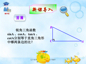 辽宁省第八初级中学九年级下数学282解直角三角形课件