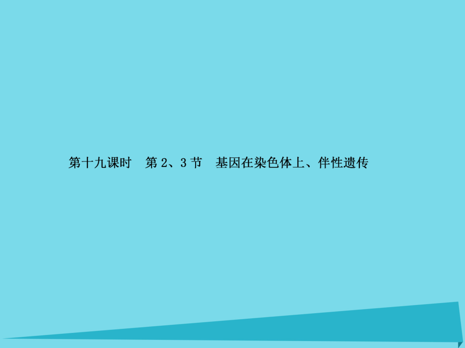 屆高考高考生物一輪復(fù)習(xí) 第二章 基因和染色體的關(guān)系（第十九課時(shí)）第2、3節(jié) 基因在染色體上、伴性遺傳課件 新人教版必修_第1頁(yè)