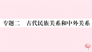 七年級歷史下冊熱點專項突破篇二古代民族關(guān)系和中外關(guān)系習(xí)題課件新人教版