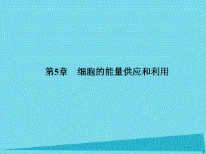 屆高考高考生物一輪復(fù)習(xí) 第五章 細胞的能量供應(yīng)和利用（第九課時）第1節(jié) 降低化學(xué)反應(yīng)活化能的酶課件 新人教版必修