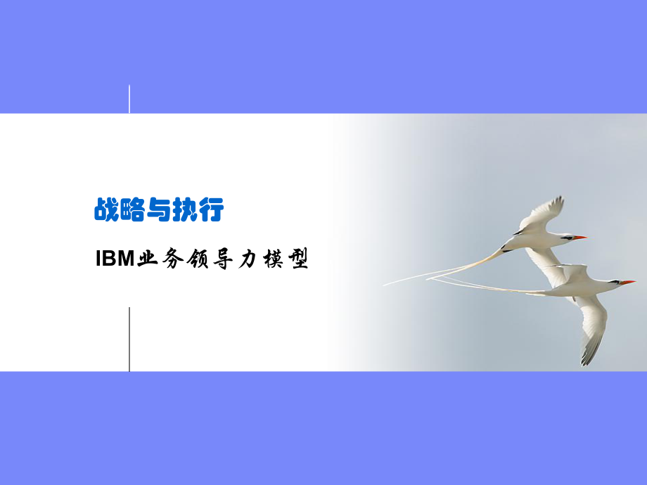 战略与执行之IBM业务领导力模型高教课件_第1页