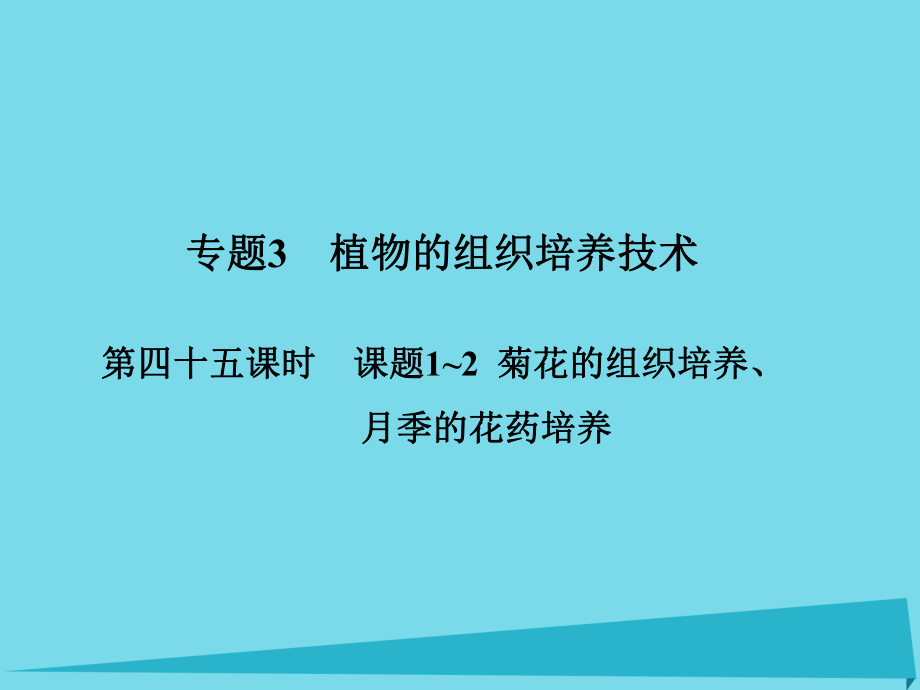 屆高考高考生物一輪復(fù)習(xí) 專題三 植物的組織培養(yǎng)技術(shù)（第四十五課時）課題12 菊花的組織培養(yǎng)、月季的花藥培養(yǎng)課件 新人教版選修_第1頁