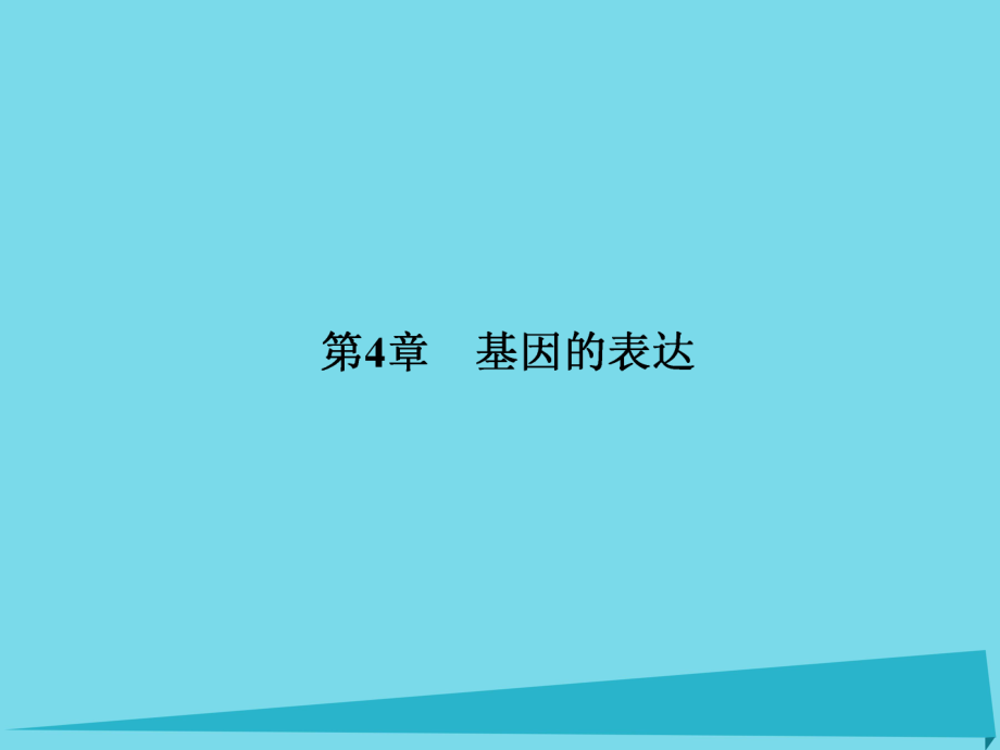 屆高考高考生物一輪復(fù)習(xí) 第四章 基因的表達(dá)（第二十二課時(shí)）第1節(jié) 基因指導(dǎo)蛋白質(zhì)的合成課件 新人教版必修_第1頁