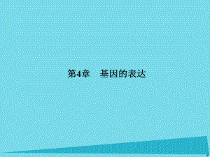 屆高考高考生物一輪復習 第四章 基因的表達（第二十二課時）第1節(jié) 基因指導蛋白質的合成課件 新人教版必修