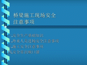 橋梁施工安全PPT課件