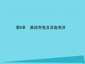 屆高考高考生物一輪復(fù)習(xí) 第五章 基因突變及其他變異（第二十四課時(shí)）第1節(jié) 基因突變和基因重組課件 新人教版必修