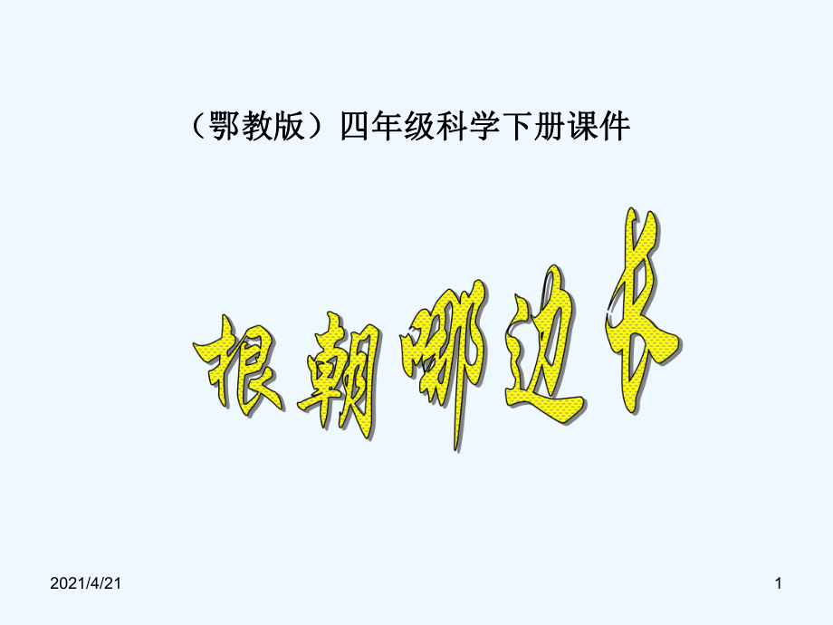 四年級(jí)下冊(cè)科學(xué)課件- 第4課 根朝哪邊長(zhǎng)1｜鄂教版 (共10張PPT)_第1頁(yè)