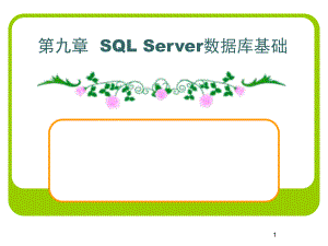 第九章SQLServer数据库基础PPT课件
