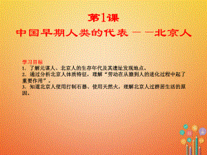 【最新】七年级历史上册 第1课 中国早期人类的代表-北京人课件2 新人教版-新人教级上册历史课件