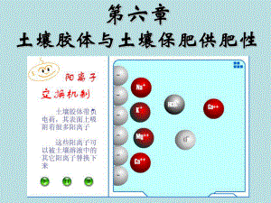 土壤膠體與土壤保肥供肥性一節(jié)新