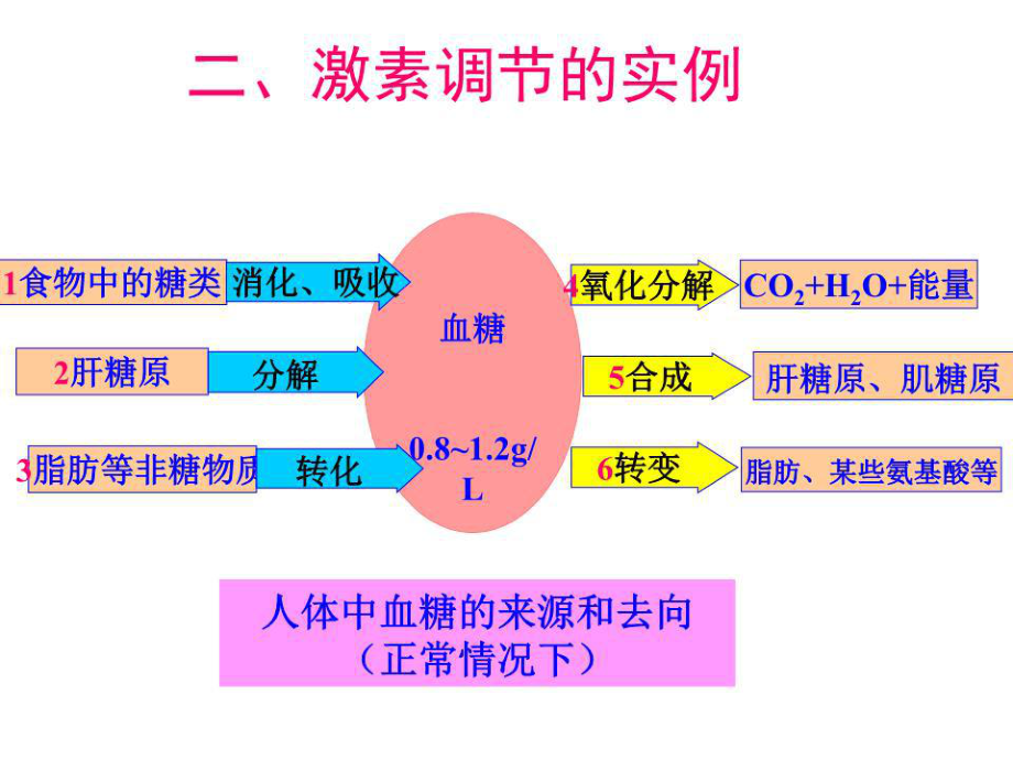 生物第三節(jié)《神經(jīng)調(diào)節(jié)和體液調(diào)節(jié)的關(guān)系》.ppt_第1頁(yè)