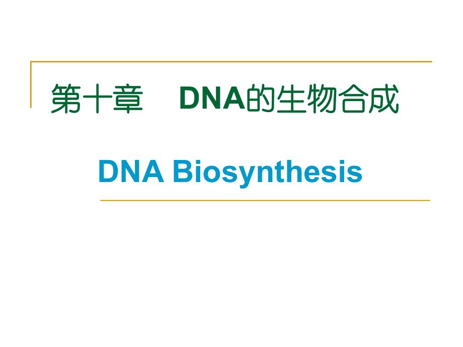 生物化學(xué)：10第十章DNA的生物合成_第1頁