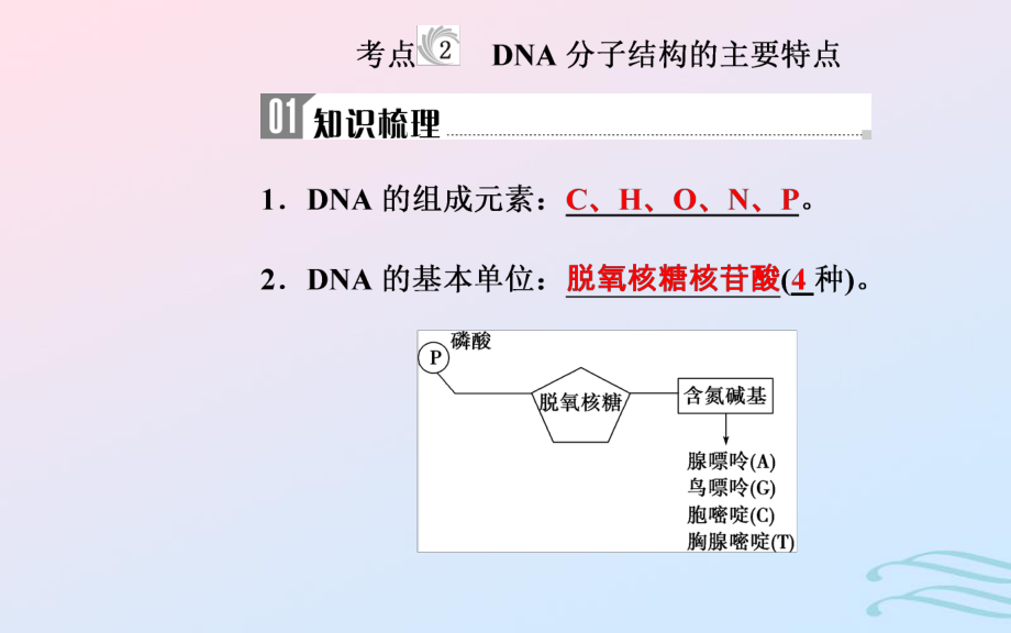 生物學業(yè)水平七 遺傳的分子基礎 2 DNA分子結(jié)構(gòu)的主要特點_第1頁