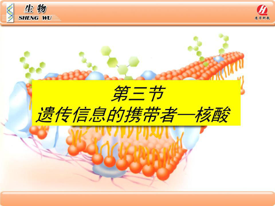 生物學(xué)①必修2.3《遺傳信息的攜帶者-核酸》PPT課件.ppt_第1頁