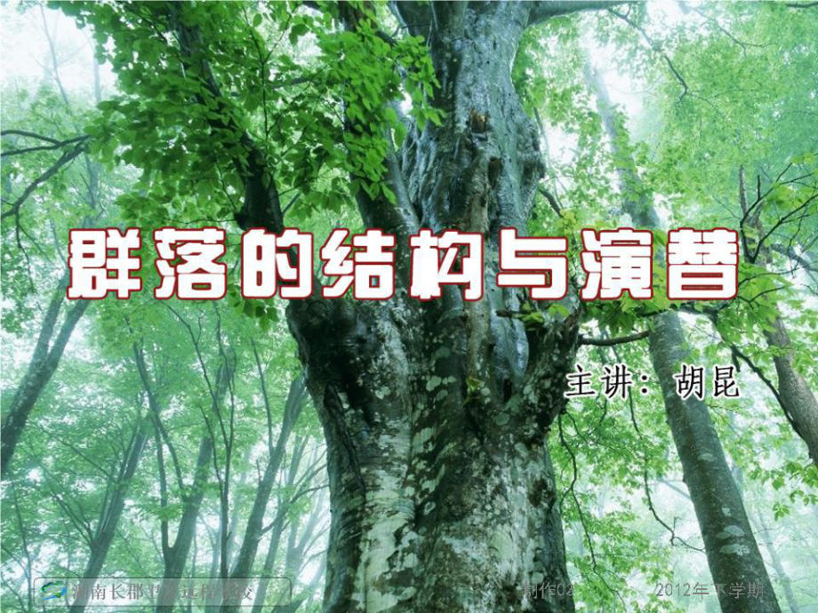 高三生物《群落的結(jié)構(gòu)與演替》1(課件).ppt_第1頁