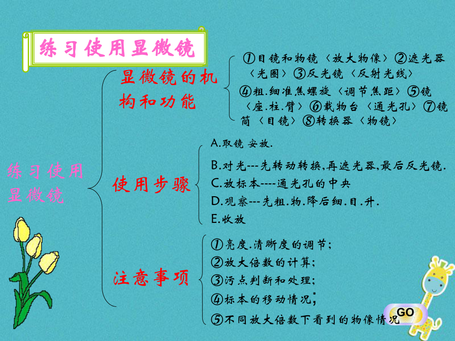 七年级生物上册 2.2多细胞生物体的结构层次1 （新版）新人教版_第1页