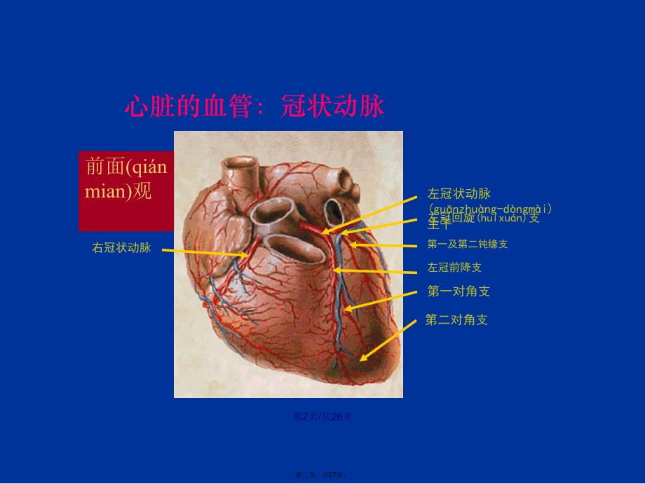 冠狀動脈造影術及其護理學習教案