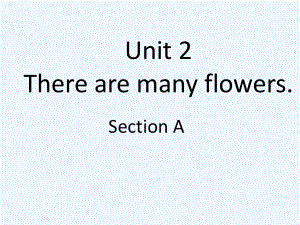 四年級(jí)下冊(cè)英語(yǔ)課件-Unit 2 There are many flowers Section A_湘魯版 (共17張PPT)