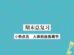 七年級(jí)生物下冊(cè) 熱點(diǎn)五 人體的自我調(diào)節(jié) （新版）北師大版