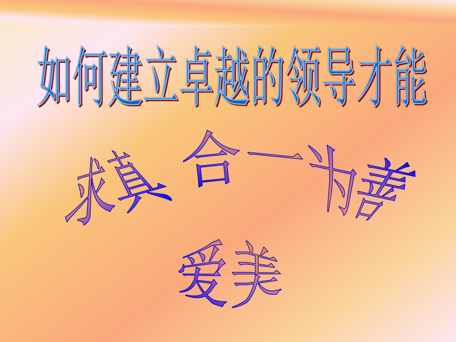 如何建立卓越的領(lǐng)導(dǎo)才能(ppt 157頁(yè))_第1頁(yè)