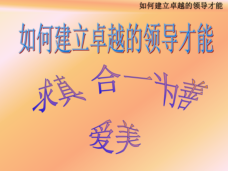 如何建立卓越的领导才能（PPT 157页）_第1页