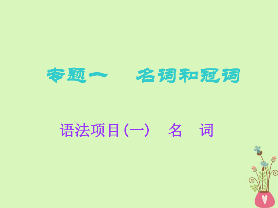 英語語法專項 一 名詞和冠詞 語法項目（一）名詞 北師大版_第1頁