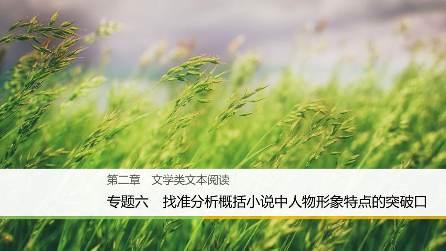 語文大第二章 六 找準(zhǔn)分析概括小說中人物形象特點(diǎn)的突破口_第1頁