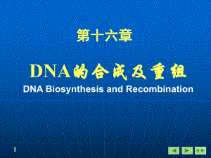 分子生物學(xué)學(xué)習(xí)課件：第八部分重組DNA技術(shù)