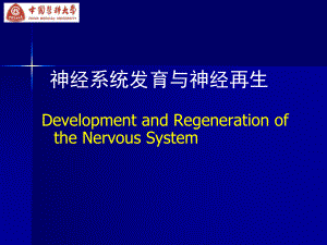发育生物学与再生医学：神经系统发育与神经再生