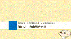 生物第四單元 遺傳的基本規(guī)律、人類遺傳病與優(yōu)生 第14講 自由組合定律