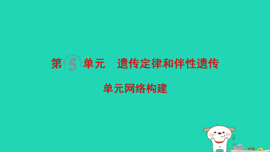 生物第5單元 遺傳定律和伴性遺傳單元網(wǎng)絡(luò)構(gòu)建_第1頁