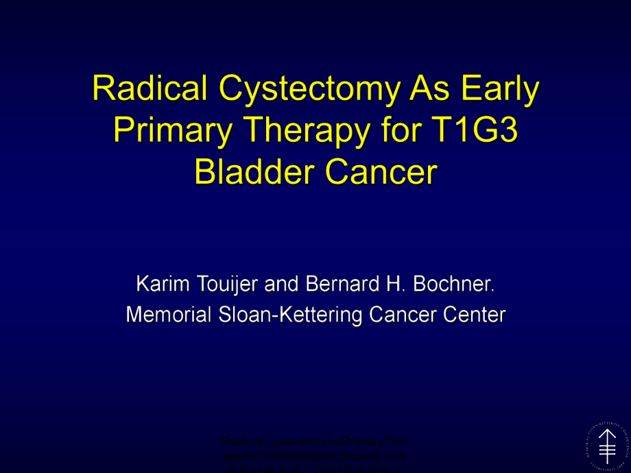 RadicalCystectomyAsPrimaryTherapyforT1G3BladderCancer根治性膀胱切除术对于T1G3膀胱癌的主要疗法课件_第1页