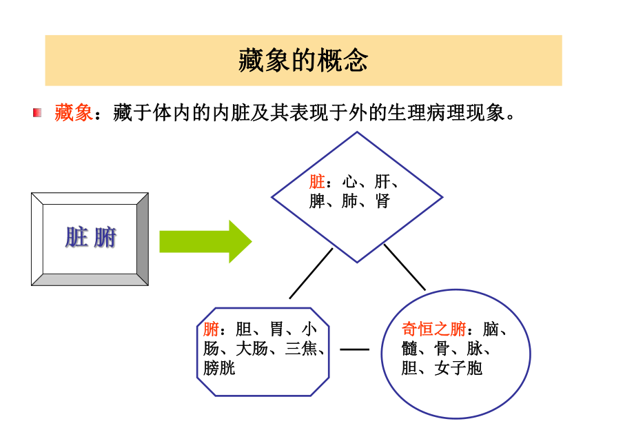 藏象图片