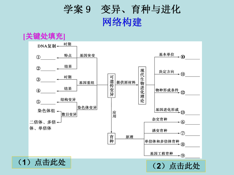 第一部分专题四学案9 (2)_第1页