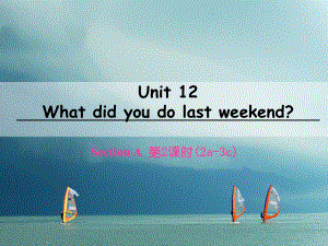 七年級英語下冊 Unit 12 What did you do last weekend（第2課時）Section A（2a-3c） （新版）人教新目標(biāo)版