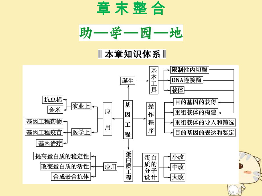 生物 第一單元 生物技術(shù)與生物工程 第一章 基因工程和蛋白質(zhì)工程章末整合 中圖版選修3_第1頁(yè)