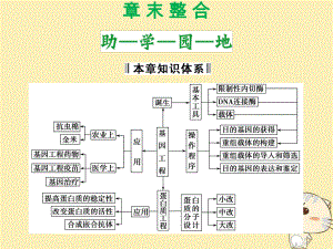 生物 第一單元 生物技術(shù)與生物工程 第一章 基因工程和蛋白質(zhì)工程章末整合 中圖版選修3