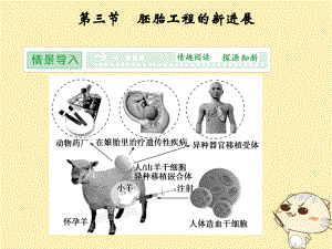 生物 第一單元 生物技術與生物工程 第三章 胚胎工程 1.3.3 胚胎工程的新進展 中圖版選修3