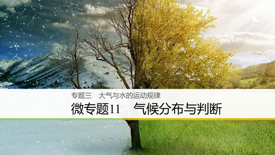 高三地理三 大氣與水的運動規(guī)律 微11 氣候分布與判斷 新人教版_第1頁