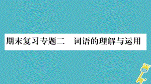 九年級語文上冊 期末二 詞語的理解與運用習題 新人教版