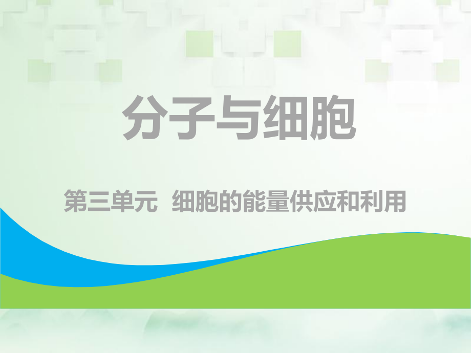 生物第一部分 分子與細胞 第三單元 細胞的能量供應和利用 第一講 降低化學反應活化能的酶_第1頁