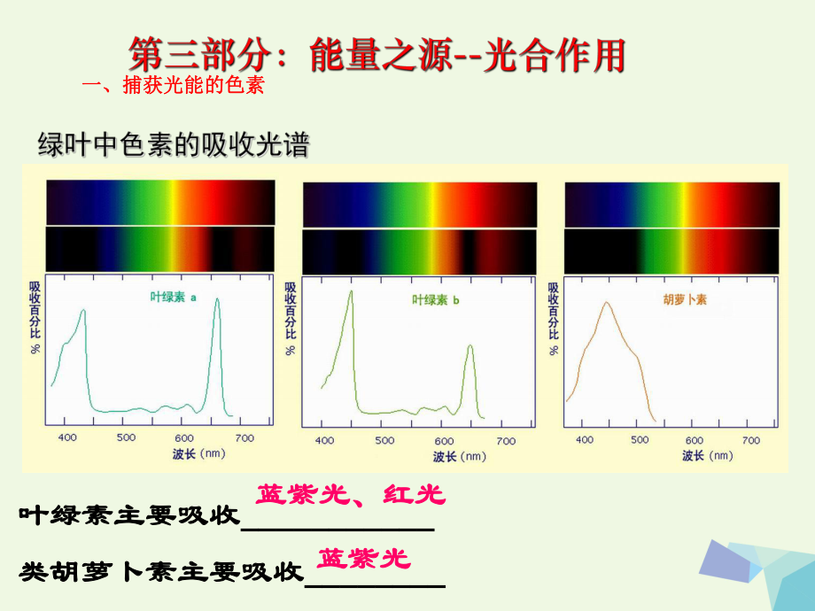 陜西省西安市2017屆高考生物 細(xì)胞代謝專題 第三部分 能量之源光合作用復(fù)習(xí)課件_第1頁