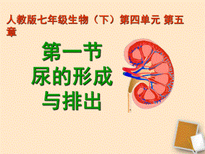 七年級生物下冊《第五章人體內(nèi)廢物的排出》課件